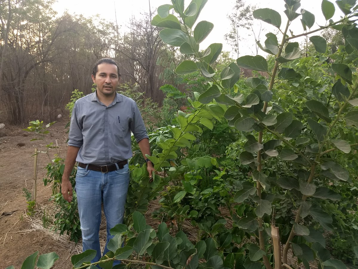 grindmaster_'s tweet image. After the success of Satara #DenseForest, @GrindMaster1984 in partnership with #EcoSattva Environmental Solutions has planted a 7000 sqft dense forest at its industrial unit in #Waluj #MIDC.