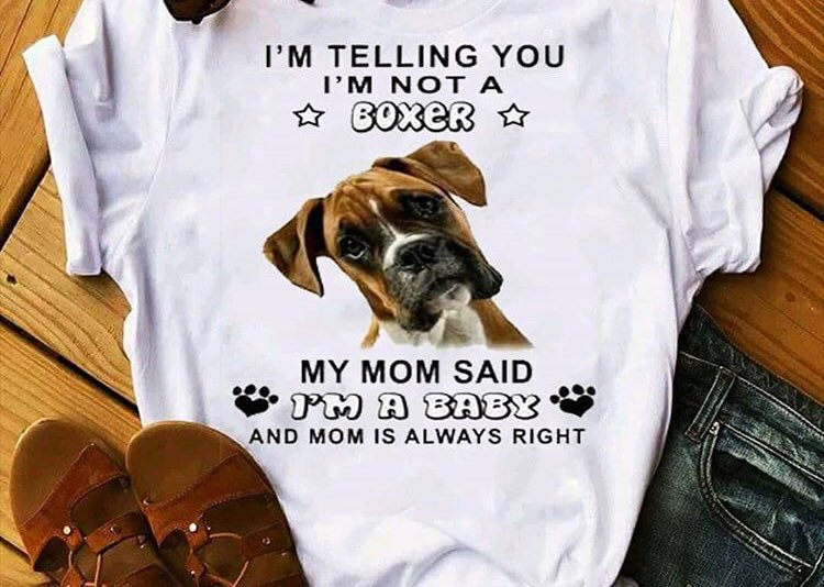 onemileatatime8's tweet image. Pretty accurate 😂 #MyBaby #NotABoxer #BoxerPuppy @vicmartinez28 @BoxerBond @BoxerBond