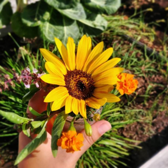 Bouquets for the chefs that go above and beyond to support IGT compost 🍉🍎🍍🍌🐌🐛🍆🍂--> 🌷🌱🌳🌻💐🌹🍄