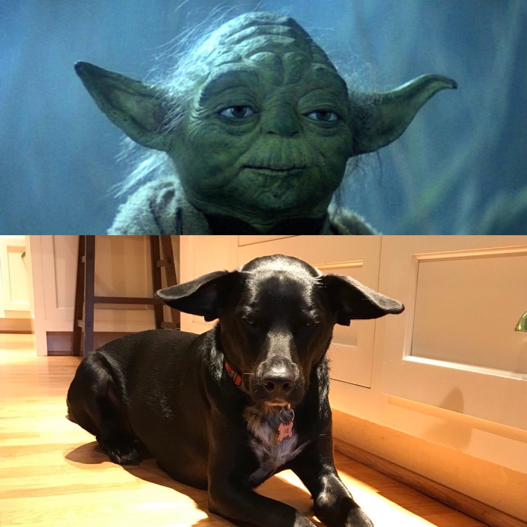 nomogoals's tweet photo. @AneliaMoore Spot the difference https://t.co/5k9rvtysXt