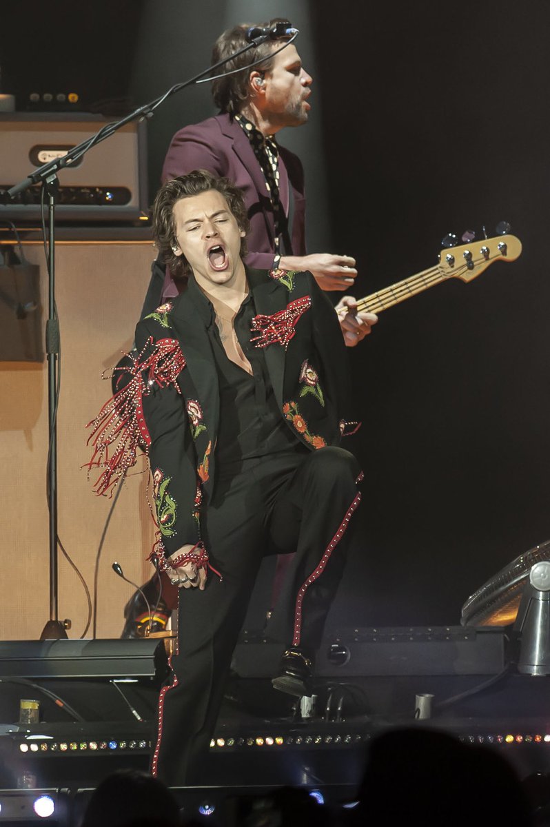 Harry Styles Mexico tweet media