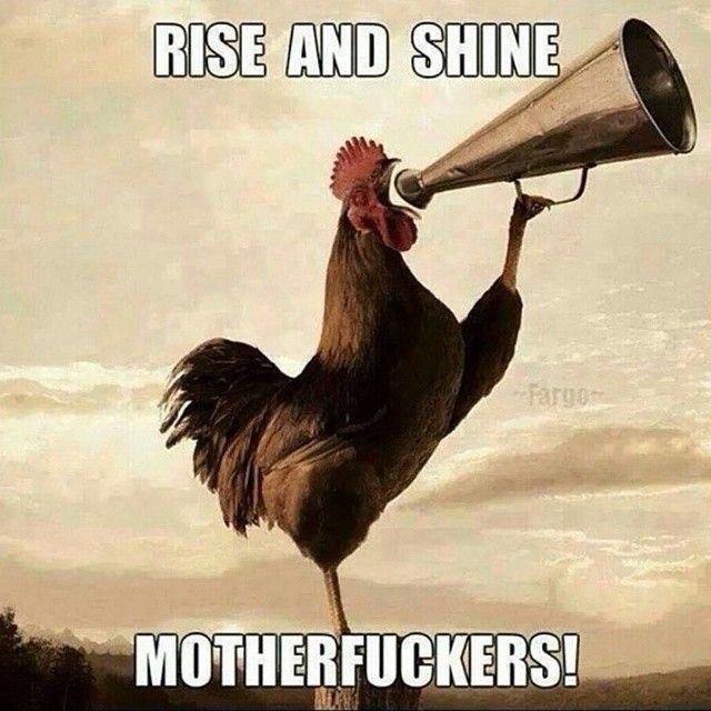 coleygirl66's tweet image. Morning..
#itstheweekend
#timeforsomefun