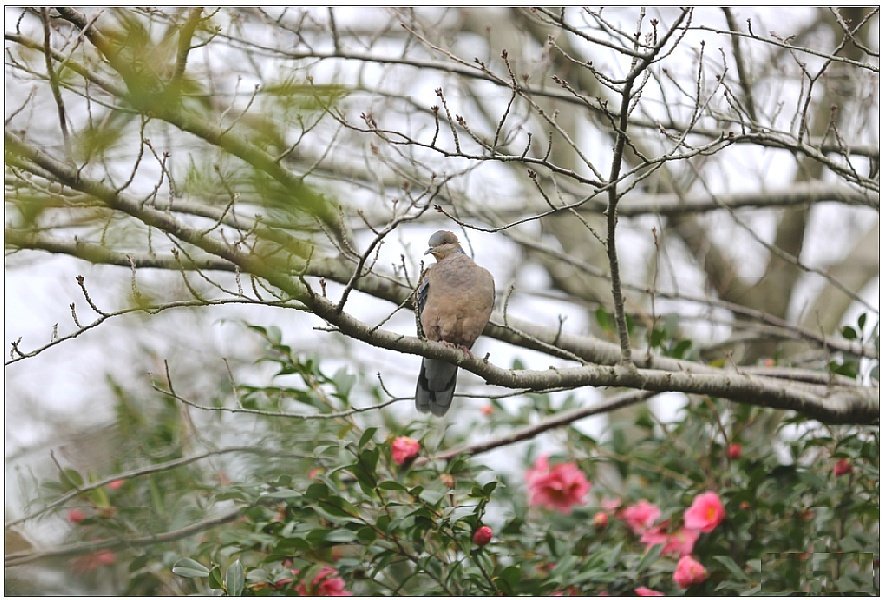 처음에는 우리가 습관을 만들지만, 그다음에는 습관이 우리를 만든다.
- 존 드라이든 -