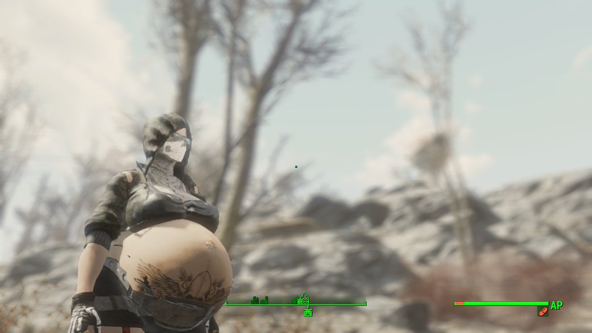 fallout new vegas pregnancy mod fallout new vegas pregnancy mod