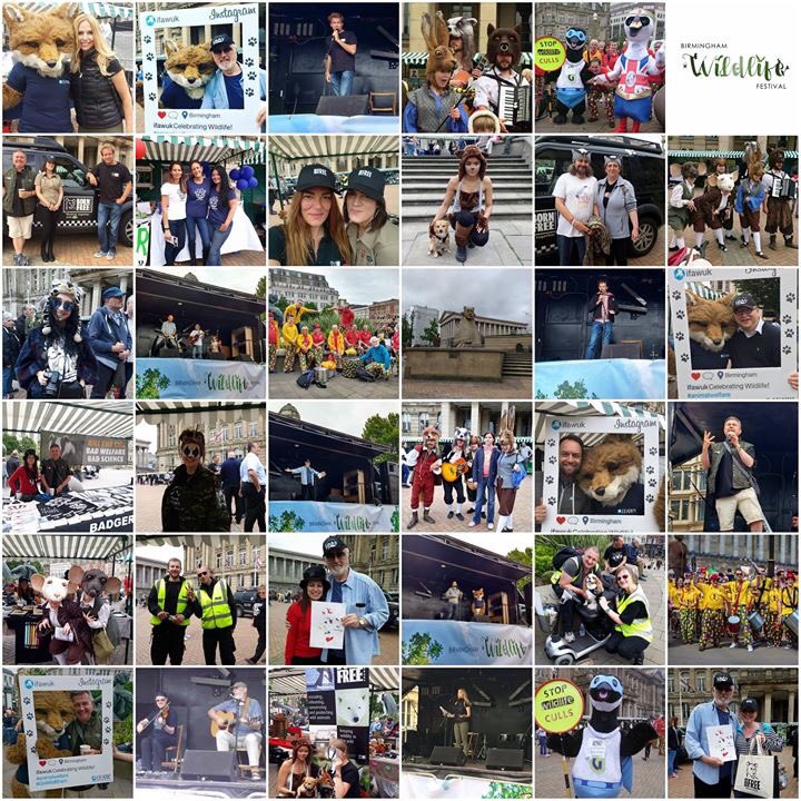 domdyer70's tweet photo. If you are an ethical food producer or animal welfare organisation and are interested in exhibiting at one of the biggest wildlife events of the year on the 16th June, then contact joanna.tolley@tolleybadges.co.uk!
#GoWildBham #WildlifeFestival #Festival #Wildlife https://t.co/Ru3dRPCY40