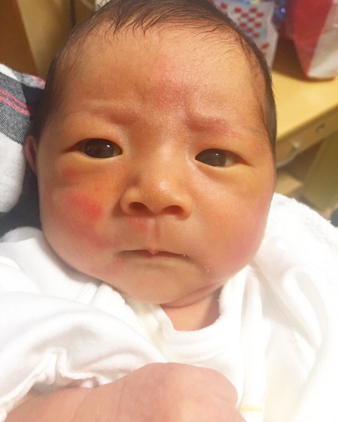 Riko Twitter પર こたろーの成長ぶりがすごい ガッツ石松 猿の赤ちゃん 猿 人間 という感じですかね 1枚目が生後1日目 4枚目が1歳4ヶ月つい昨日の写真 いやーお兄ちゃんの顔してるわ たまらん T Co 7zv5bud77j Twitter