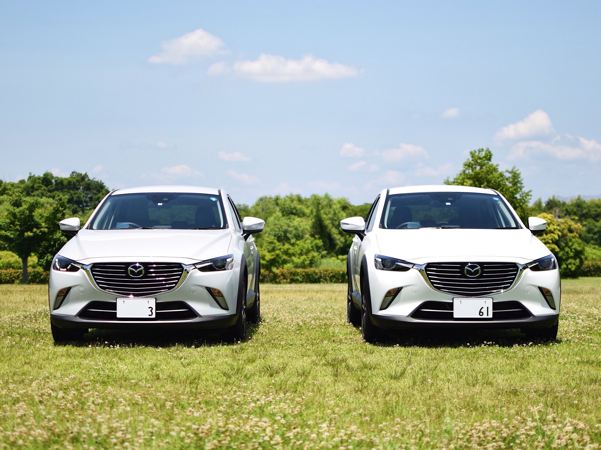 レア マツダディーラー限定 CX-5 スノーフレイクホワイトパールマイカ マツダ「CX-5」に、艶やかな新色ホワイト系を新設定。「つながる