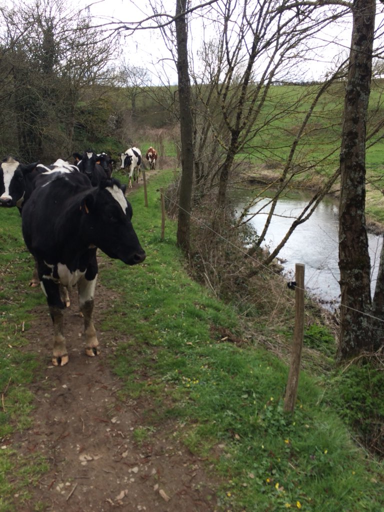 <a href="/L214/">L214 éthique & animaux</a> C’est vrai qu’elles ont l’air en pleine détresse et en pleine souffrance 😂😂😂, arrêtez de croire les conneries🤥 qu’on vous raconte, venez voir la réalité dans les fermes françaises 🇫🇷