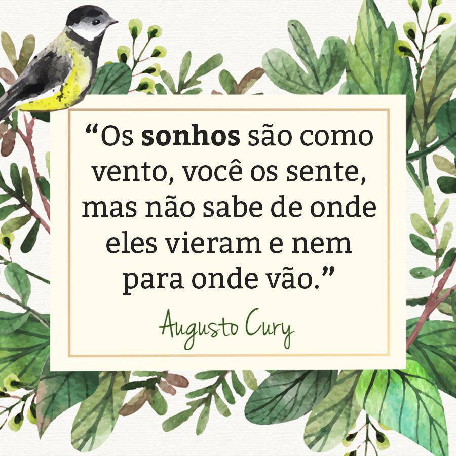 Nunca desista dos seus sonhos!
#AugustoCury