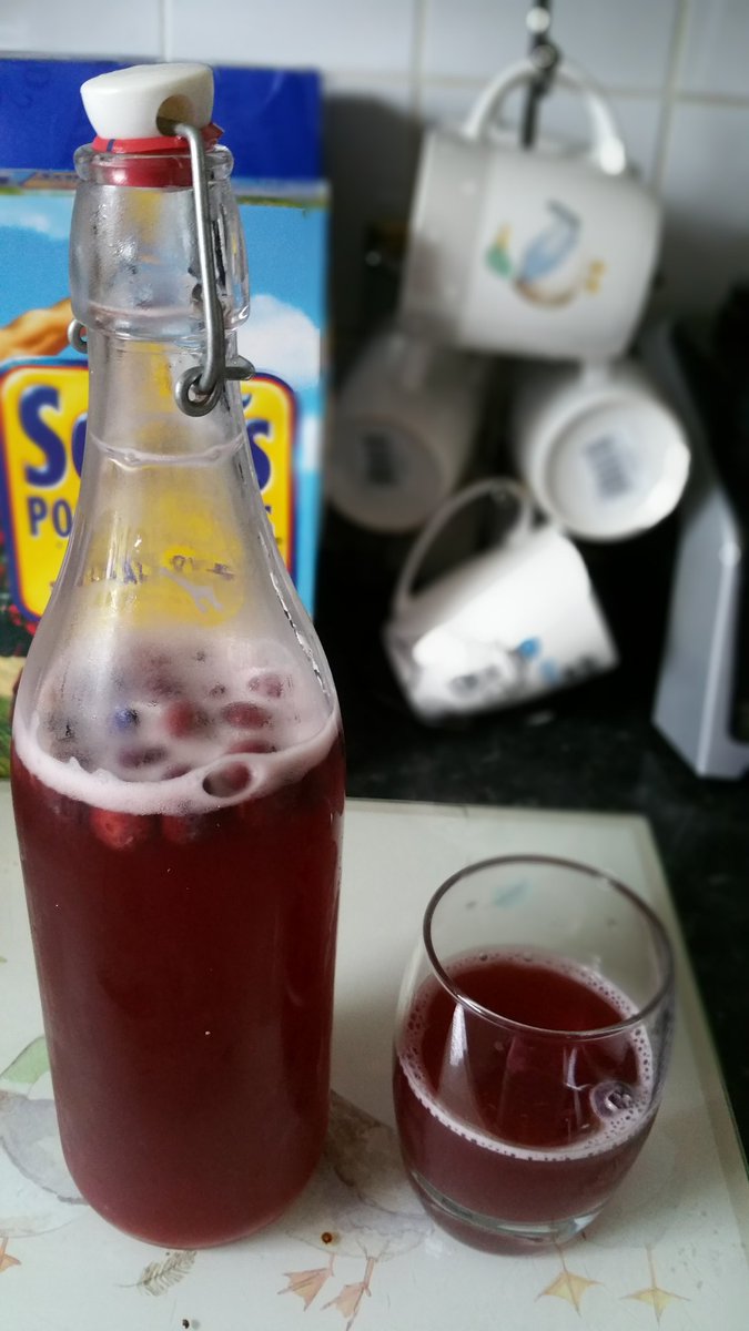 thevegansnuts's tweet image. Last bottle of kombucha until the next batch is ready. This is just blueberry. I've enjoyed all them so far but if I had to choose a favourite one I'd say it was the pineapple One🍍🍾. I want to try new flavours in the next one. #kombucha #homemadekombucha #fermentedtea #Vegan 😊