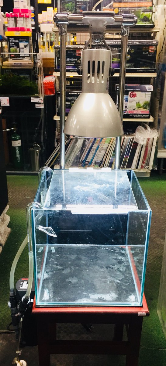 アクアテイク E アクアテイクイー 熱帯魚専門店 على تويتر リサイクル品を使った水草育成セット 30センチキューブ水槽 ライトスタンド付き水槽台 ヴォルテス ライト エーハイムクラシック2211 ろ材 バイオレットグラス吸排水 Co2直添キット