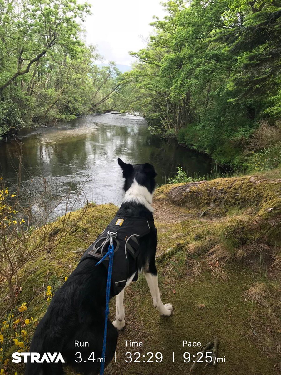 Karen_Robertson's tweet photo. Wow - itβs been three years since Iβve ran round Aberuchill that fast. #GettingThereAgain
https://t.co/RMTFjk2q9P https://t.co/8FvDvrRydw