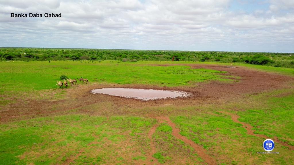 mubarigmario's tweet photo. Banka Daba_qabad .
Dabaqabad waa tuulo dhacda Degmada dhoqoshey ee Gobolka Togdheer.
@SLPresidency @Somaliland #Togdheer #Daba_qabad #Dhoqoshay #my252 #Burco #Howd #futurebrothers #mubarikmario #futurebrothers #tourwithus https://t.co/aT0LuHpBAm