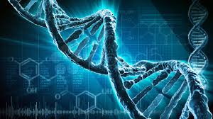 structuralbiol1's tweet photo. Know structural models of multi component assemblies and complex biological systems at 14th international Conference on Structural Biology 2018
#Sequence_Analysis #Structural_Biology_Determination_of_3D_structures #Molecular_Modelling #Molecular_Dynamics https://t.co/iYLJyCGutQ