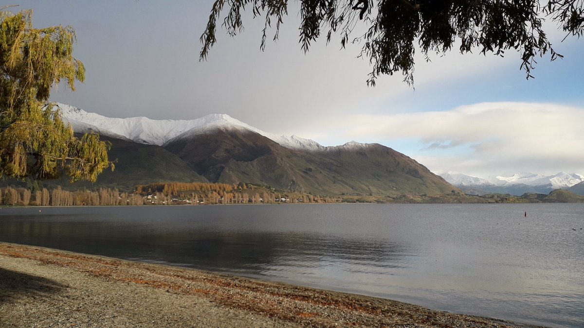 StrayNat's tweet image. #Winter has arrived in #Wanaka!