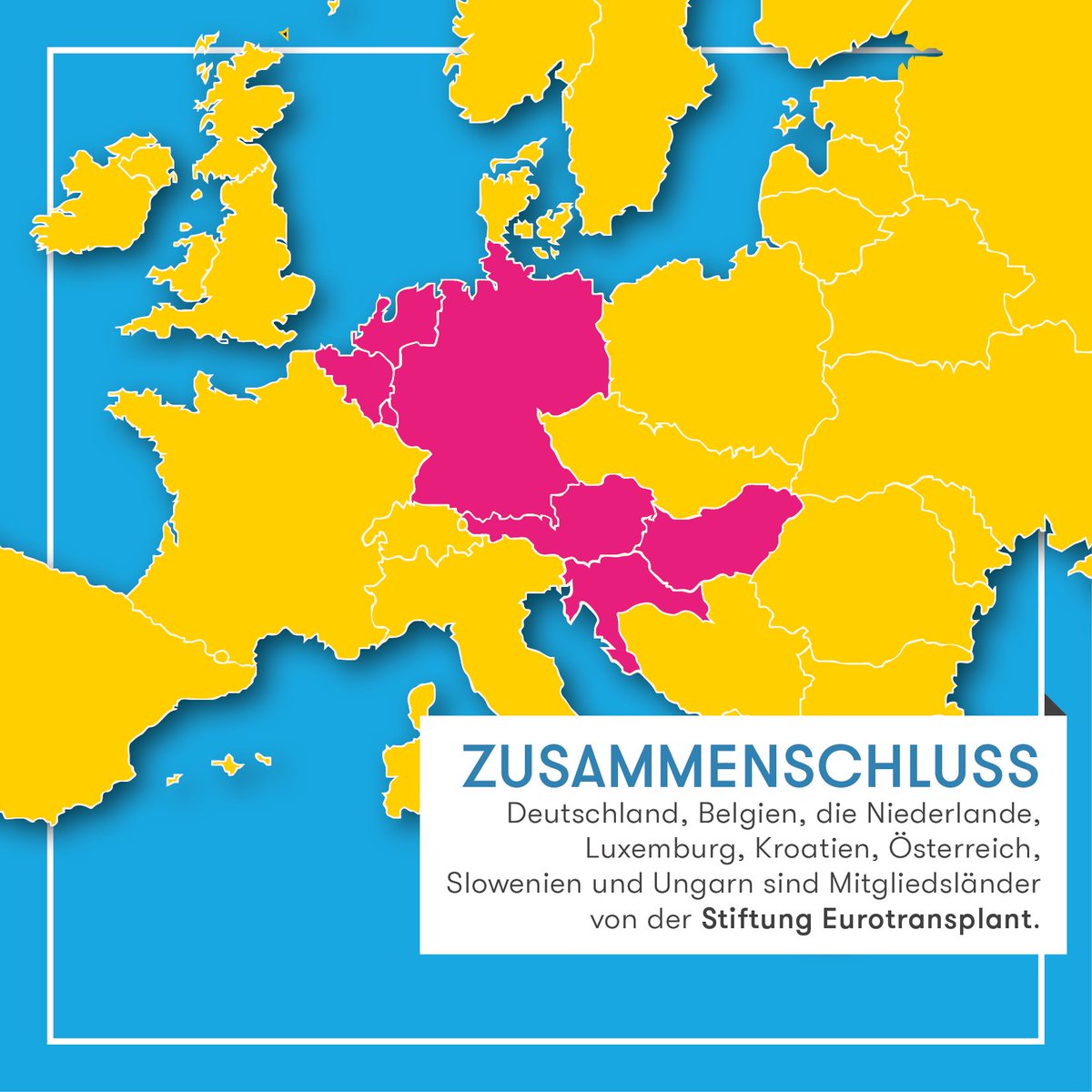 Rund um die Organspende gibt es immer noch viele Fragen und Vorurteile: Was sind die Voraussetzungen für eine Organspende? Wer entscheidet über die Verteilung von Organen? Werden Organspender registriert? Hier die wichtigsten Fakten. #TagDerOrganspende 

Part 2