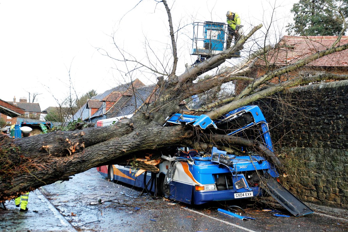 JeremyDBarrell's tweet photo. English civil court tree cases don't get bigger than this! In 2012, a lime tree fell on a bus & severely injured the driver. High Court found for the Claimant, but there is an appeal on 12/13 June 2018. Core issue is if highway trees must be inspected every 3 years or 1.5-2 years https://t.co/ORG8vpnidj