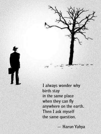 Meditation Masters (@meditationlyfe) on Twitter photo 