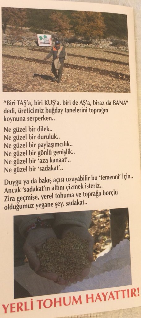 Dnzgibisi's tweet photo. Yolunuz düşerse Yahşi sahilde hemen Bitez dondurmacısının karşısındalar, dün şahane semizotu ve kabak aldım.
#YerliTohumDerneği
#OYFEST https://t.co/JXHHnk6Hvy