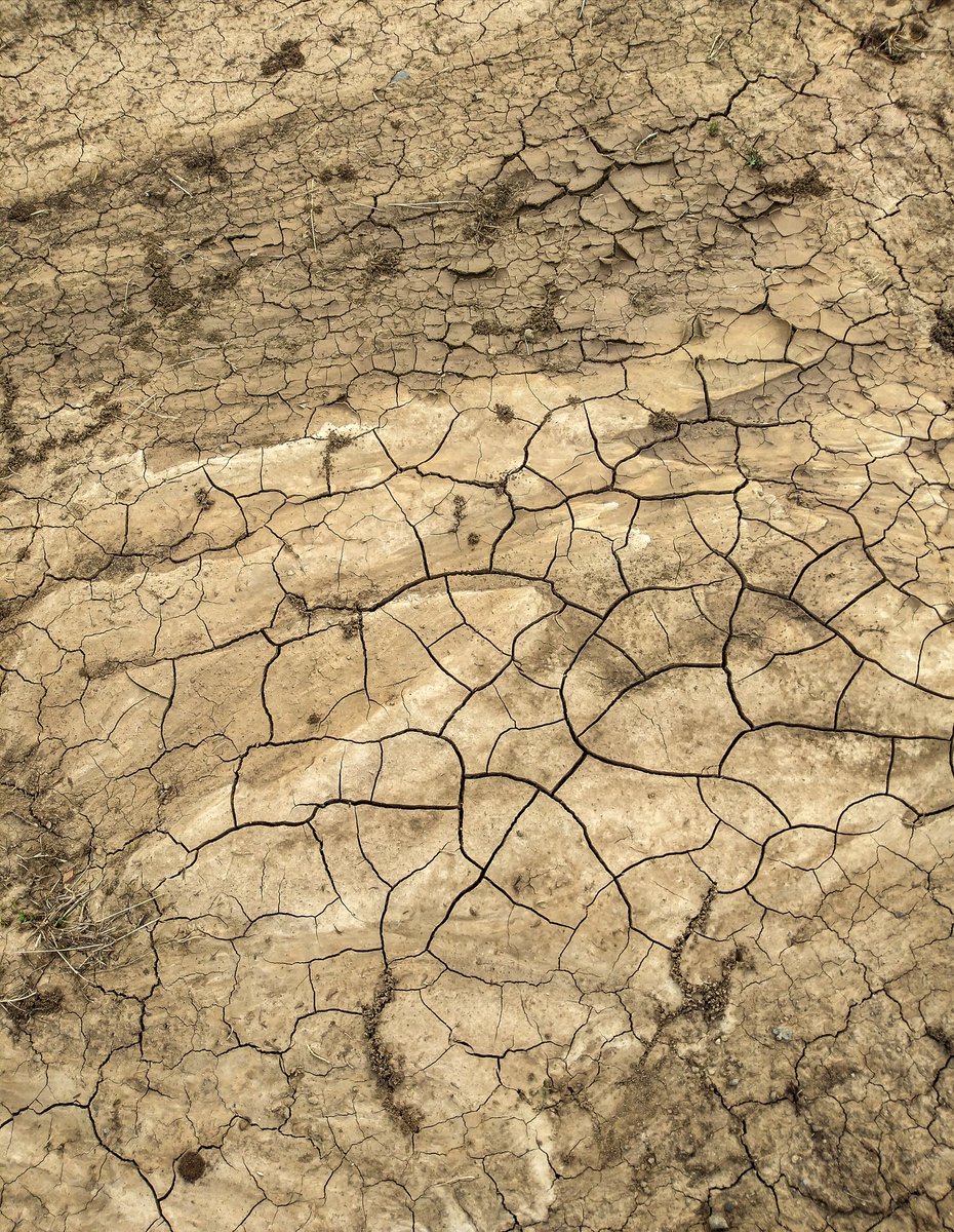 The future isn't what it used to be.
#photography #photo #FranciaItalia  #방탄소년단 #WorldCup <a href="/realDonaldTrump/">Donald J. Trump</a> <a href="/POTUS/">President Donald J. Trump</a>