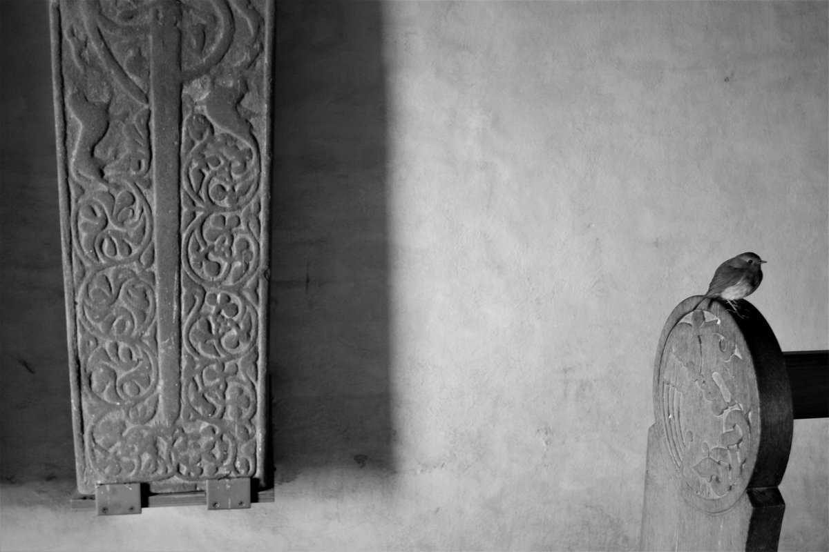 'Solace' A solitary Robin seeks shelter inside St. Odhran's Chapel on the island of Iona, where ancient kings lie buried. #blackandwhite #Scotland #ThePhotoHour #Highlands #Archaeology