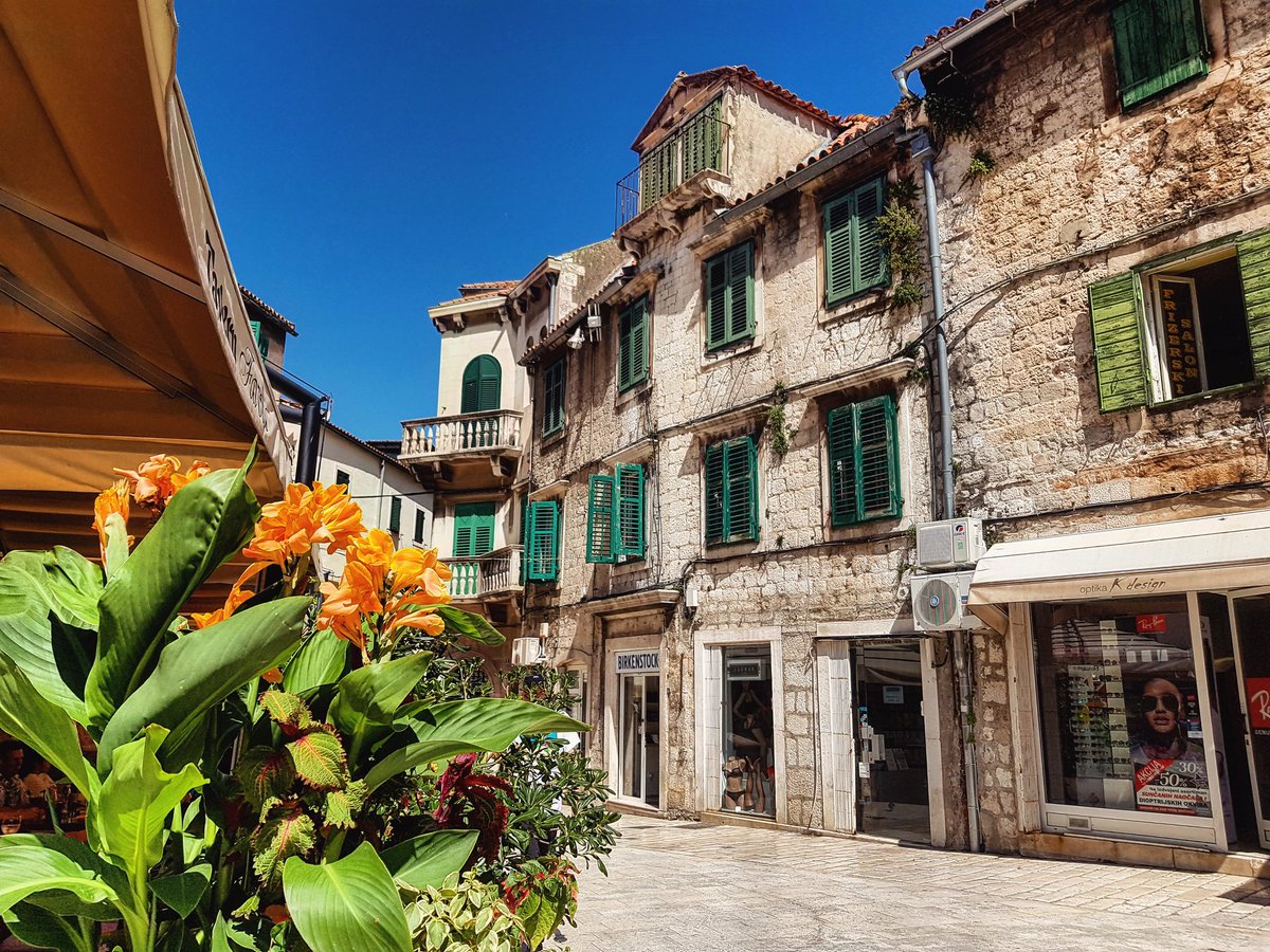 Svitforyou tweet media