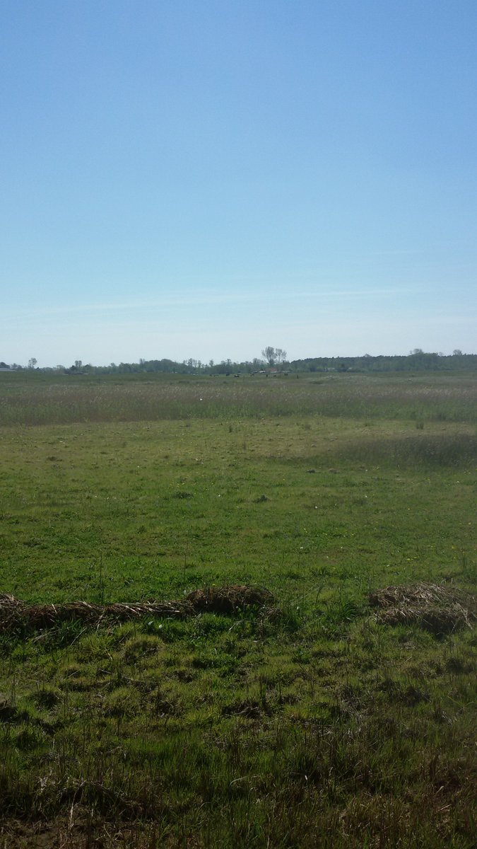 Since Life can be hard
one should have broad shoulders
so shit can flow off of you.

Since Life can be more than worthwhile
one should have an open mind and large heart
to soak it all in
and move it around as you wish.