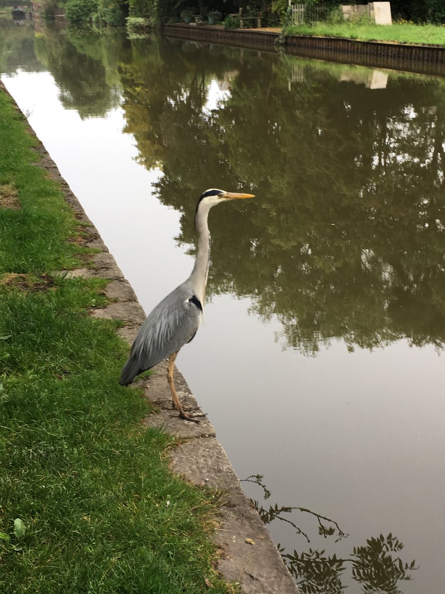 MADCC_Canoe's tweet photo. Our first Go Canoeing punter - just a few minutes early! https://t.co/wUIM9yYLus