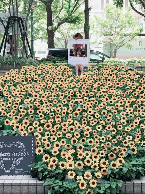 Twitterのコスプレ画像11