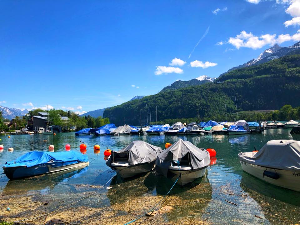 NewInZurich's tweet image. #Hiking along the #Walensee - newinzurich.com/travel/beautif…
#Switzerland