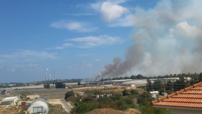 View image on Twitter