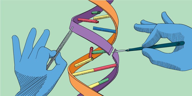 genomicsedu's tweet photo. With genome editing hitting the headlines, patients may have questions about its potential applications. Here’s our concise guide for health professionals https://t.co/6VsQ2KZmzE https://t.co/9V5NcCzTMy
