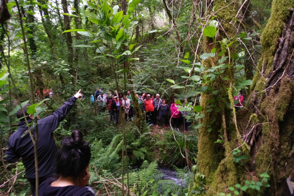 ConBergondo's tweet photo. Xa estamos en marcha coa #andaina de inauguración do #roteiro do Río #Callou. https://t.co/L3nSguXHC5