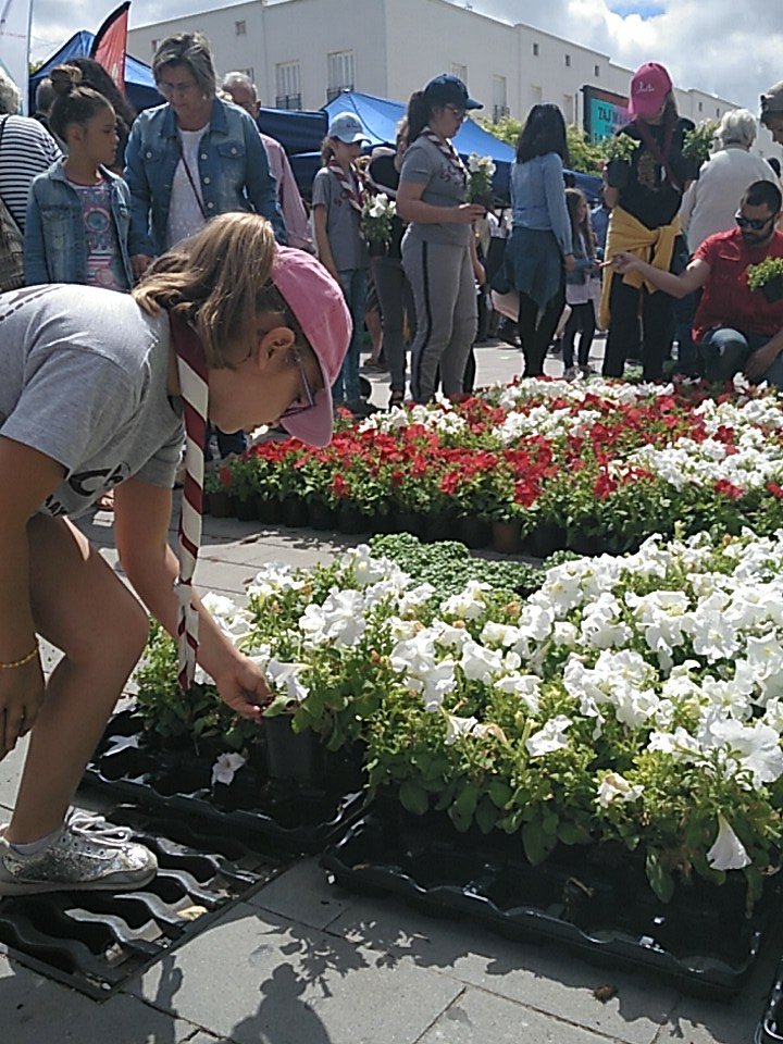 Mayorazgo_Ch's tweet photo. Nuestro grupo scout realizando el mosaico del día de las flores🌸🌹🌺🌻🌼⚜️ https://t.co/RjagTkuUZJ