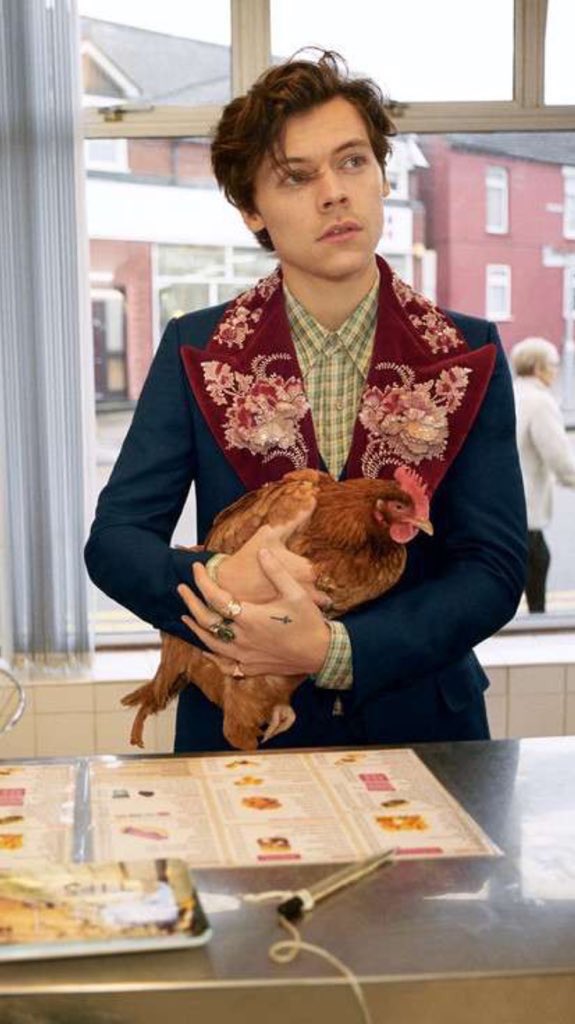 TommoFondlinson's tweet photo. I LOVE ME SOME GUCCI MODEL OH LORD https://t.co/Jtw402ckhs