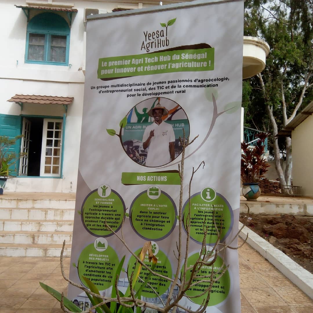 yeesalagrihub's tweet photo. Demarrage de la journée de travail d'Agripreneur en Action traitant de l'insécurité alimentaire . Evaluation des risques pour la population et les opportunités pour l'entreprenariat local. #AGRIACT2018 #kebetu #SunuMbay https://t.co/fDvKBWO1GO