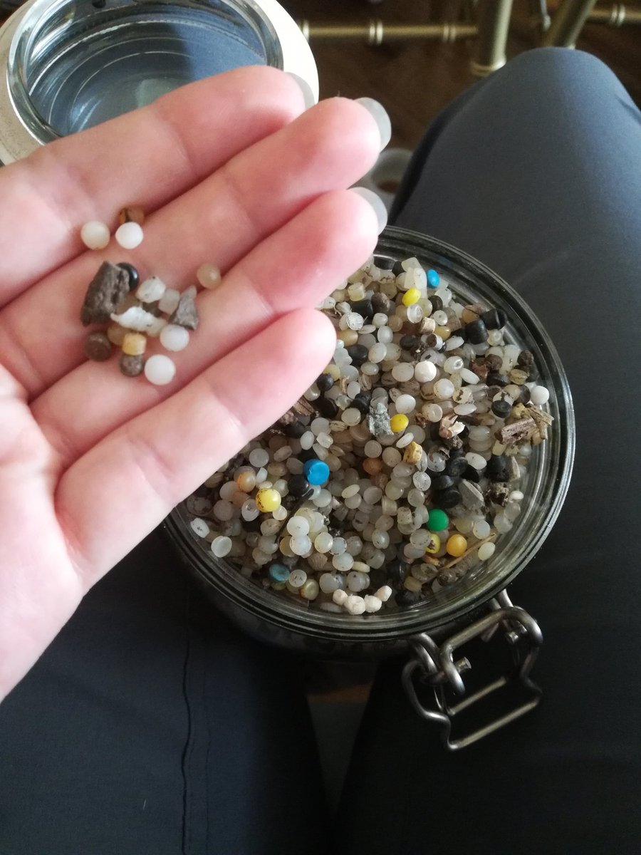 Have you ever heard of a #nurdle? They're plastic pellets that end up littering our shores and in the stomachs of marine wildlife. Here are just a few of the 450,000 that were found on North Queensferry beach on the last sweep. #ShoreYouCare #StopThePlasticTide