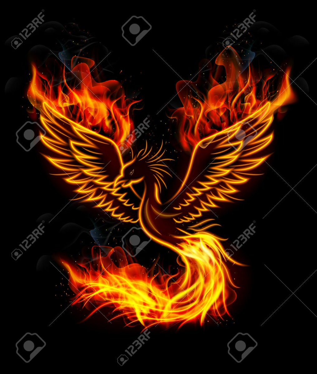 ncar999's tweet photo. Followers: REX @_ImperatorRex_ is back for the 2nd time in 2 days.
Let your followers know. For some of the best information on twitter follow REX.
Let's join with the #TheRexoning to see #REXRISING to help #MAGA
Is REX, our own "PHOENIX RISING" from the ashes of Twitter Bias? https://t.co/sI3drFWRWk