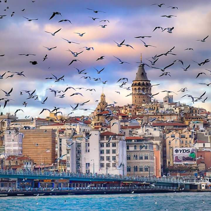 figenscch's tweet photo. Hava sıcaktı, gök maviydi, İstanbul güzel, ama karnımız açtı

#OrhanKemal  saygıyla..
2 Haziran 1970 https://t.co/IJcZlUxMAV