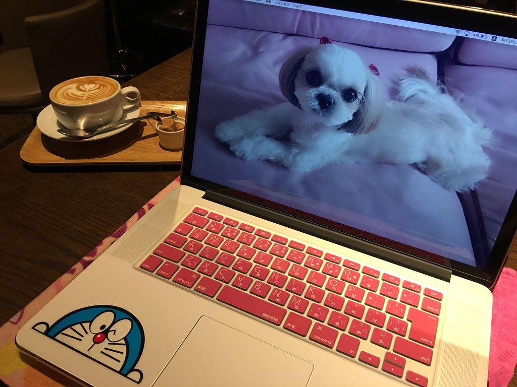 ryoryolovechan's tweet photo. そしてさっそくオシャレカフェで打ち合わせなぅん😊👍
安定の可愛さラブたん🐶💖
MacBookProちゃんサクサクでめっちゃ使いやすいわ〜😆🎶
#MacBookPro #新品 #Apple #Retina #Corei7 #R9M370X2GB #15inch #Windows10Pro #16GB #PCI-eSSD1TB #Mid2015 #Office2016 #Pharrell #BootCampやないよw #夜ご飯 https://t.co/p2SLvFe49p
