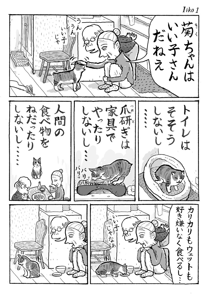 2ページ猫漫画「菊ちゃんはいい子さん」 #猫漫画 