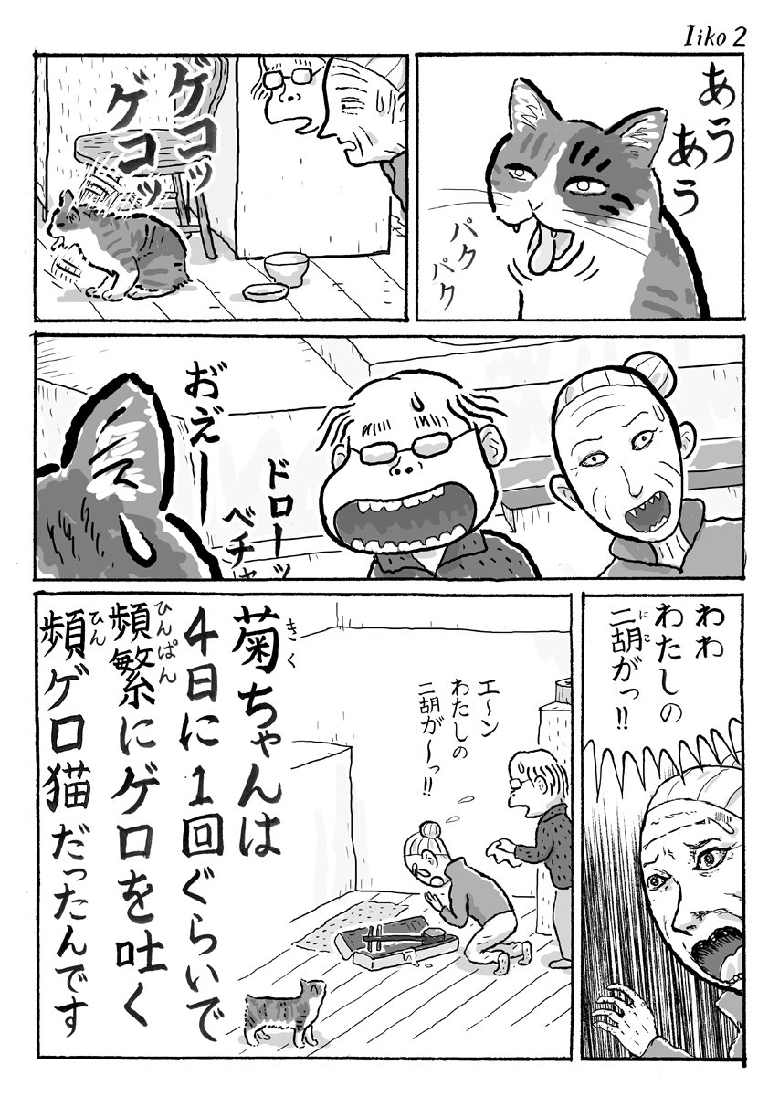 2ページ猫漫画「菊ちゃんはいい子さん」 #猫漫画 