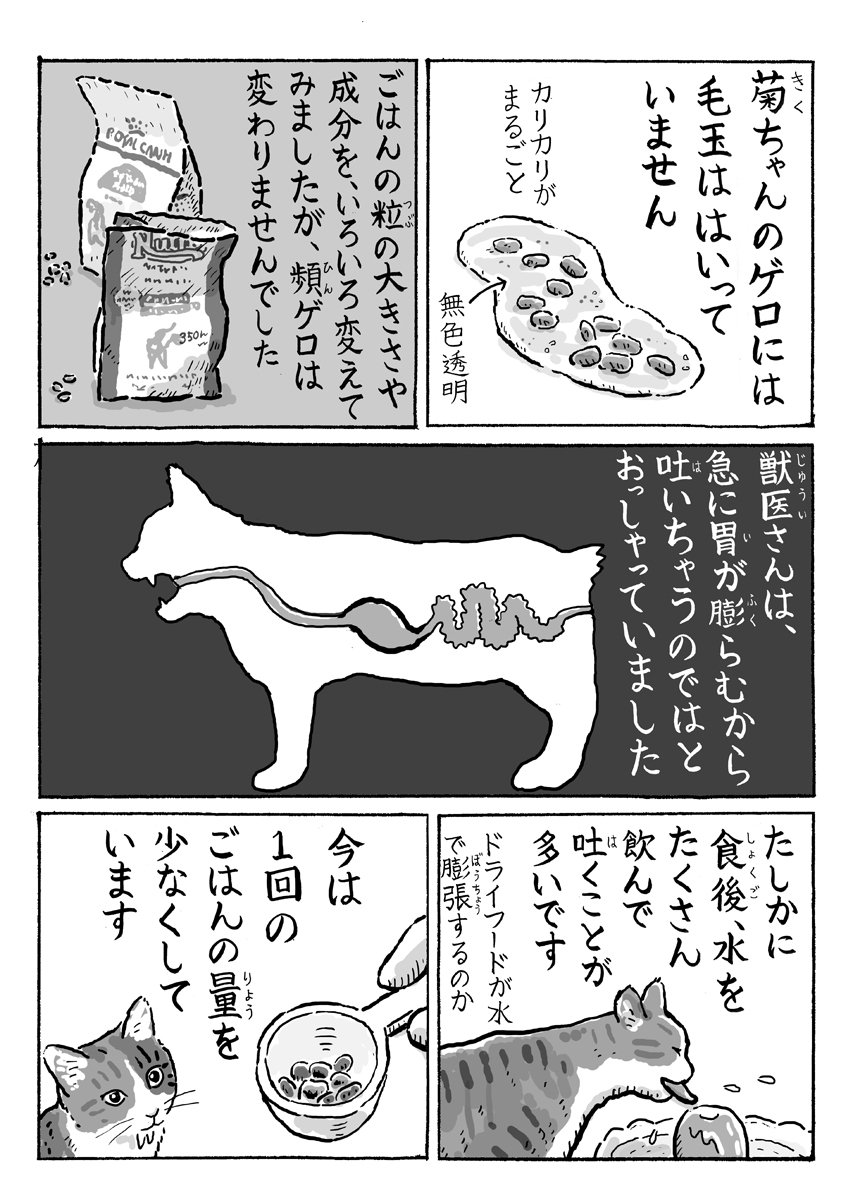 菊ちゃんのゲロに対処 #猫漫画 #猫 #健康 #嘔吐 