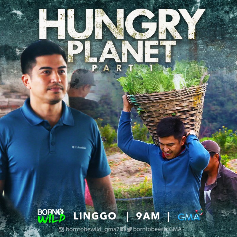 BorntobeWildGMA's tweet photo. Samahan si Doc @FerdzRecio na bisitahin ang probinsya ng Benguet kung saan nagmumula ang malaking porsyento ng mga gulay na dinadala sa iba’t ibang bahagi ng bansa. Abangan ang unang bahagi ng ‘Hungry Planet’ ngayong Linggo sa #BornToBeWild, 9 AM sa @gmanetwork! https://t.co/pBoiXcH7II