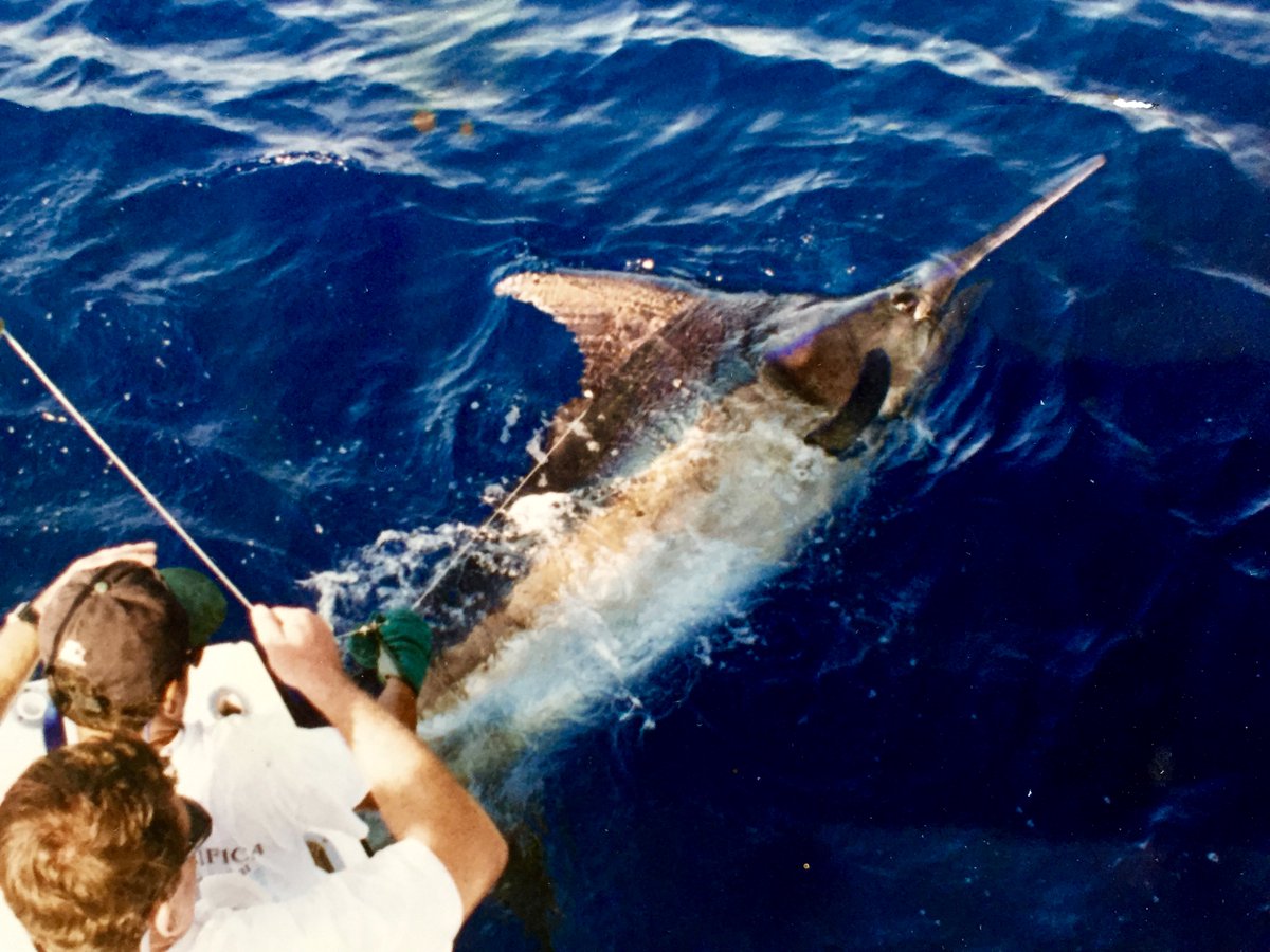 Capt. Randy Rode (@tarpoon1) on Twitter photo MARLIN FISHING on the North Coast of the D.R. with <a href="/tarpoon1/">Capt. Randy Rode</a>
Full moon summer dates still available. Text or Call 1-809-464-1557
Capt. Randy Rode MARLIN FISHING on the North Coast of the D.R. with <a href="/tarpoon1/">Capt. Randy Rode</a>
Full moon summer dates still available. Text or Call 1-809-464-1557
Capt. Randy Rode