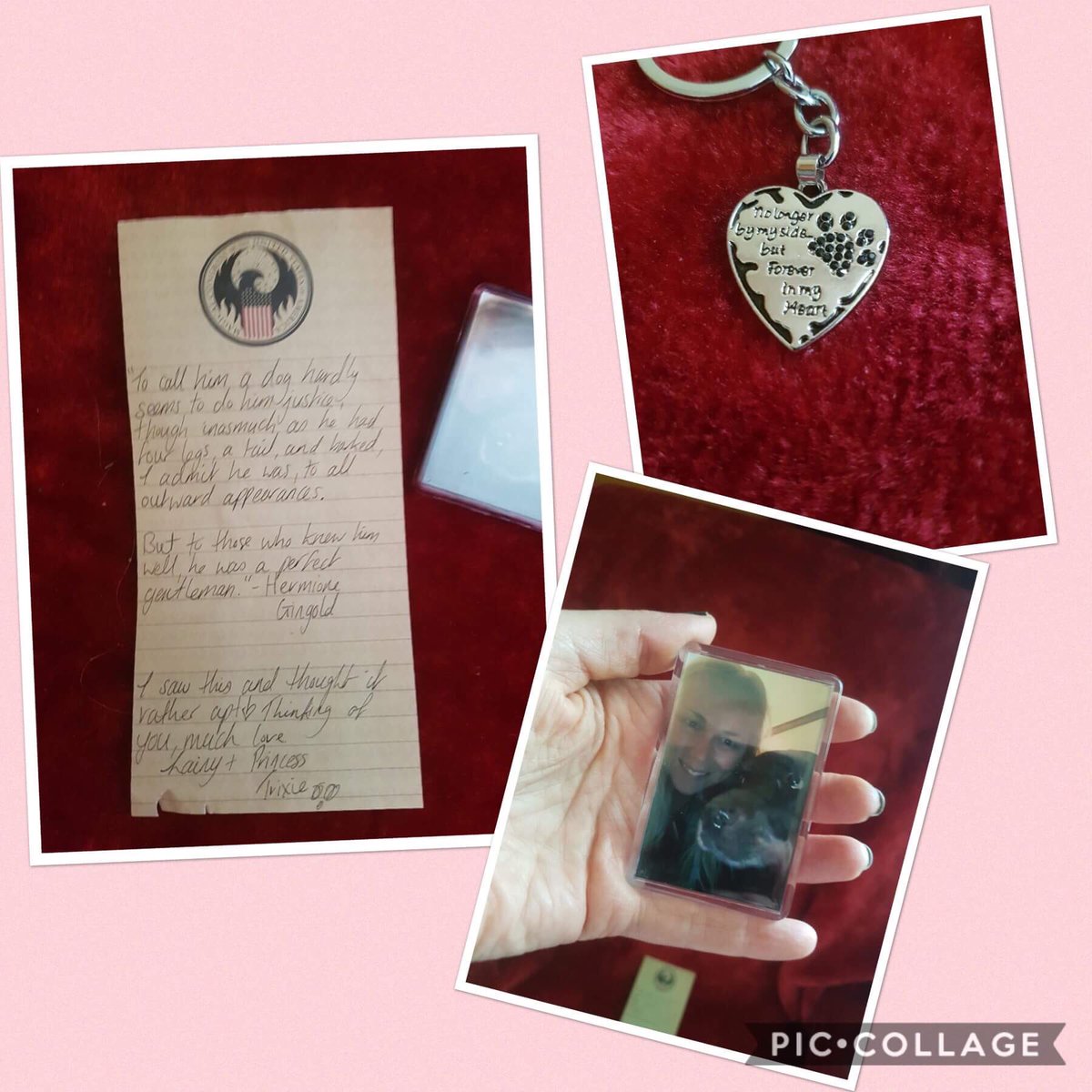 nholten40's tweet photo. ❤️❤️ Oh @smbslt you are such an angel. Your lovely and thoughtful package arrived today and I burst into tears! 🤣 I love it and you! The magnet is on my fridge, your note tucked away and the keychain with my keys. ❤️❤️
#BusterBear 💔🐾 https://t.co/cKIukNY5to