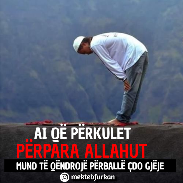 mektebfurkan's tweet photo. Ai që përkulet përpara Allahut, mund të qëndrojë përballë çdo gjëje !

#mektebfurkan #mektebifurkan #mekteb #islamishqip #keshilla #ruku #allah #fjaletearta #qendro #qendrim https://t.co/5NExnLCxvd