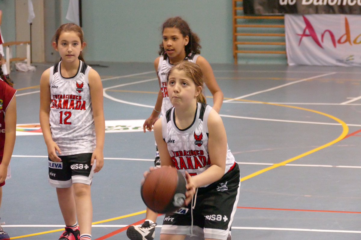 Federación Andaluza de Baloncesto tweet media