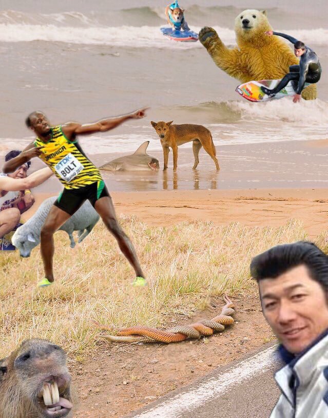 サメをビーチで襲いながら蛇の交尾を見てる犬を撮ろうとしたら写り込んできた主張の激しいカピバラ のコラが さらに情報量を増やしていくコラ選手権に発展 Togetter