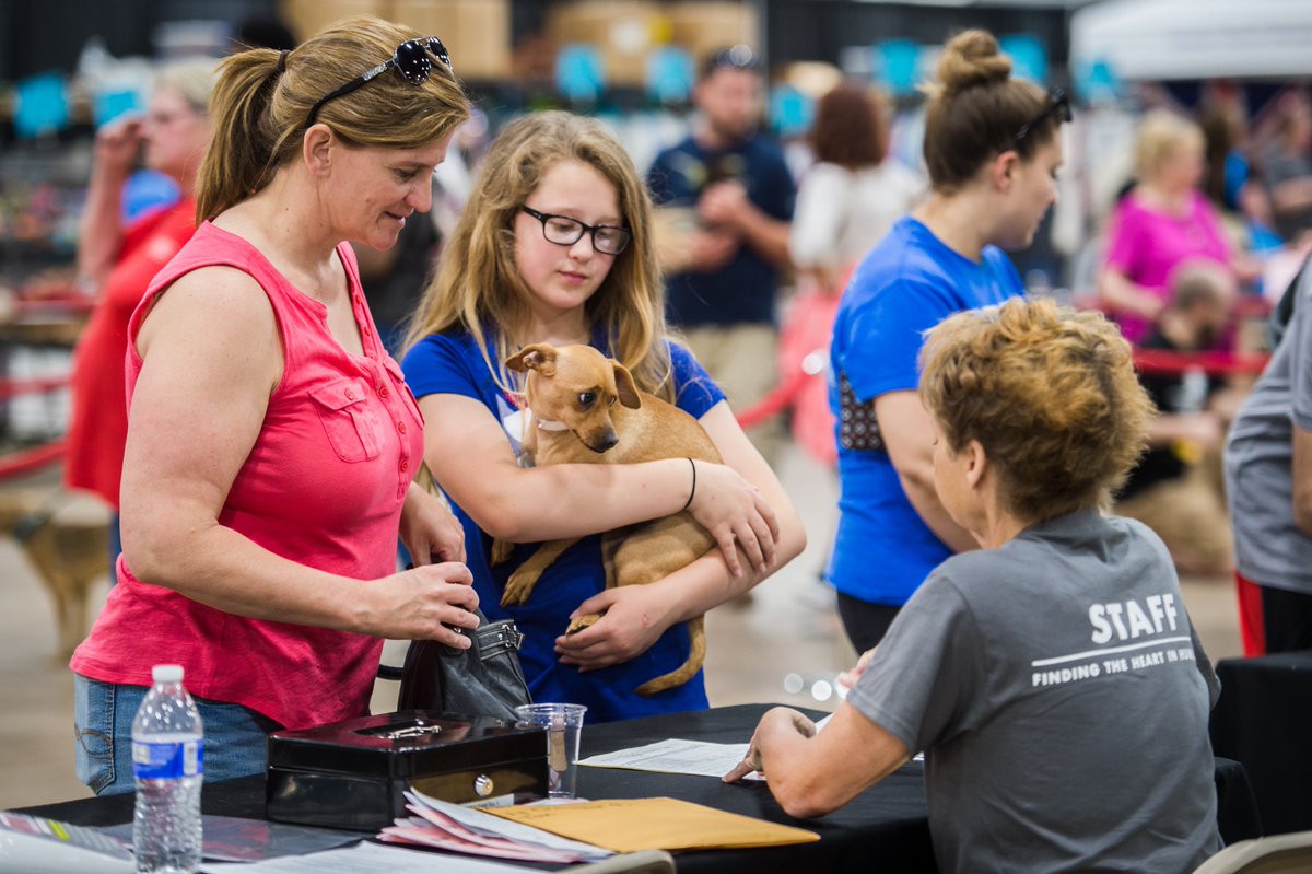 BrandywineSPCA's tweet photo. Ready for the big -- make that Mega – day! Last night’s VIP Night was beautiful & just the tip of hopefully hundreds of adoptions. Stop by or RT for the 1000+ pets waiting for their family to arrive. $25 adoptions, 10a-6p today & Sunday. https://t.co/x1GiTRQK27 #tristatemega https://t.co/clLqF8G1sX